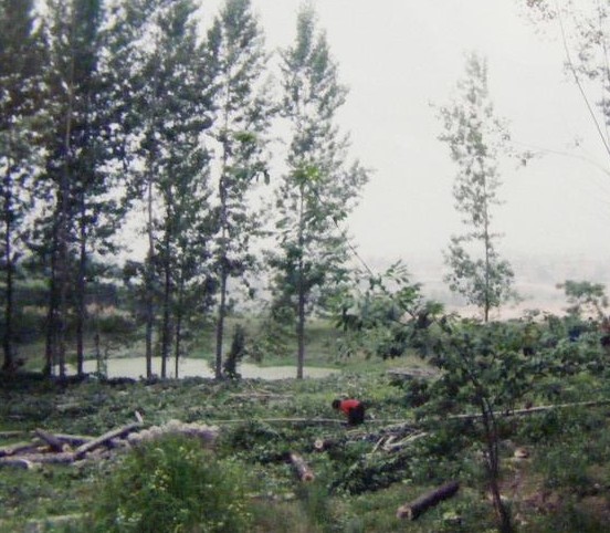 ����������ɽ�ذ�ȸ��˭���ҿ�������Ҫ˭��... 